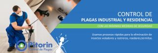 empresas control plagas guayaquil PITORIN - CONTROL DE PLAGAS