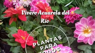 tiendas plantas guayaquil Vivero Acuarela del Río