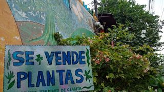 tiendas para comprar plantas huerto guayaquil Vivero jardines-de-clarita